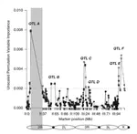 Genome-wide QTL mapping of saltwater tolerance in sibling species of Anopheles (malaria vector) mosquitoes