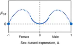 Sex-specific selection and sex-biased gene expression in humans and flies